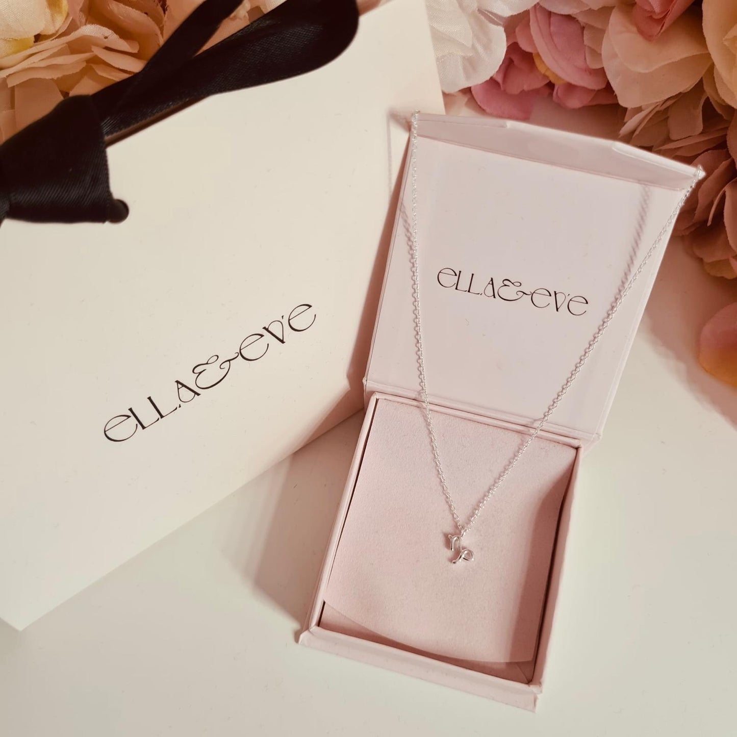 Sterling Silver Capricorn Zodiac Sign Necklace - The Capricorn