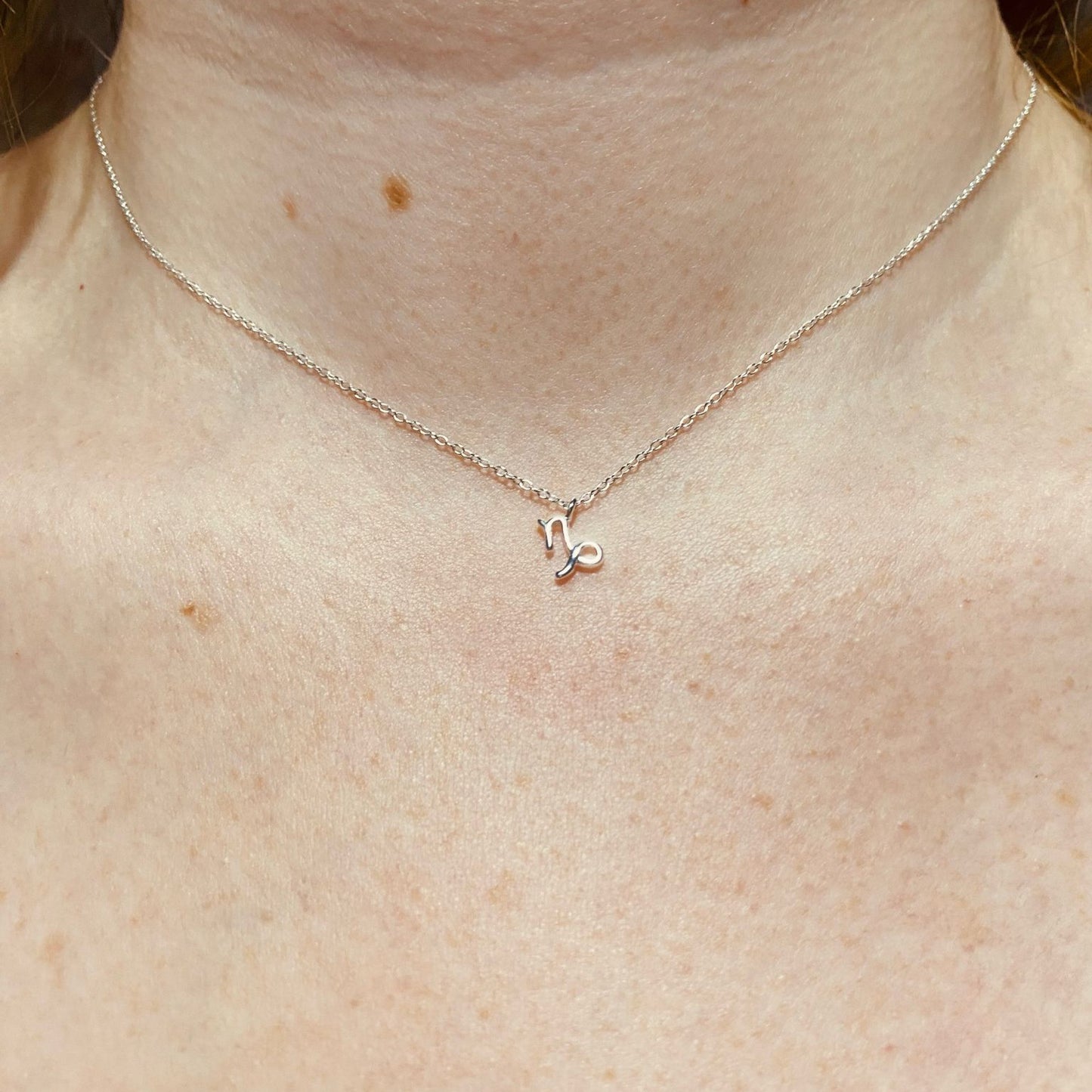 Sterling Silver Capricorn Zodiac Sign Necklace - The Capricorn