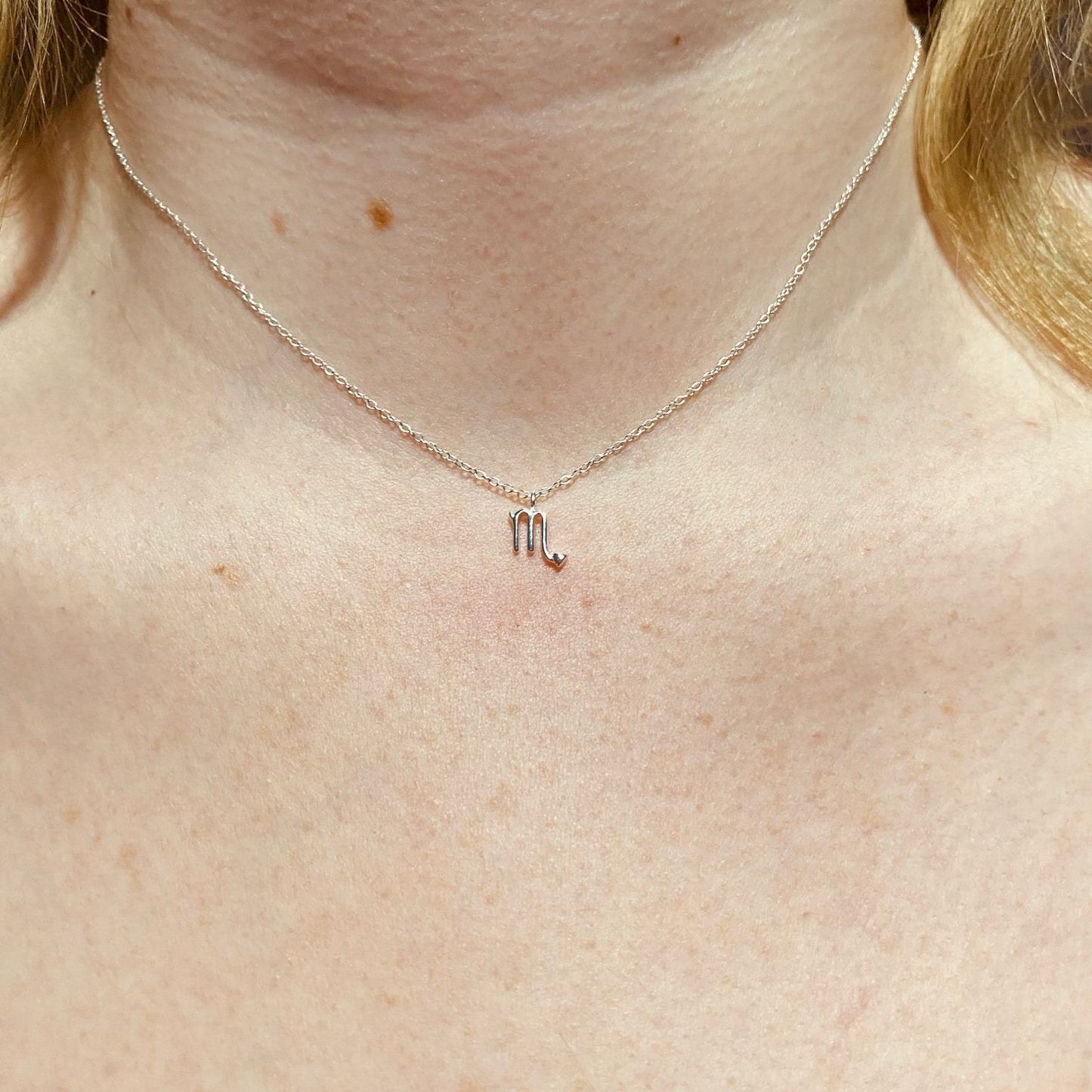 Sterling Silver Scorpio Zodiac Sign Necklace - The Scorpio